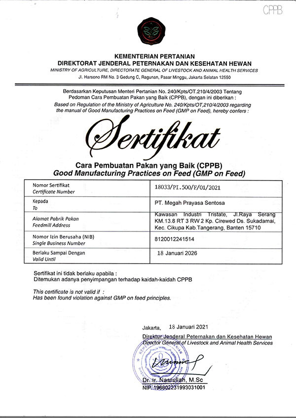 GMP Certificate