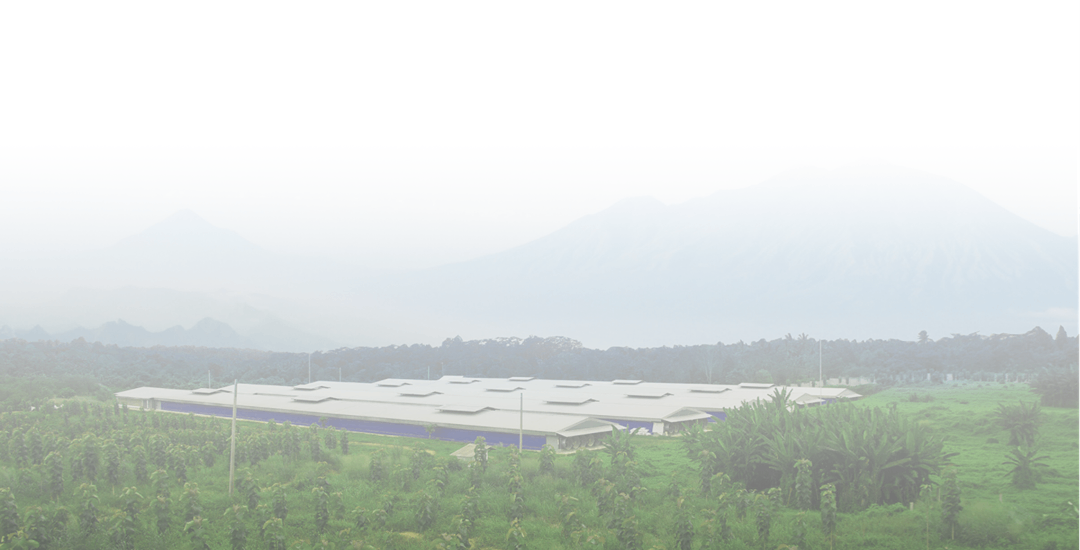 Everything that we’ve done,<br/>is to contribute to <strong style='color:#ed1c24 ;'> life </strong >